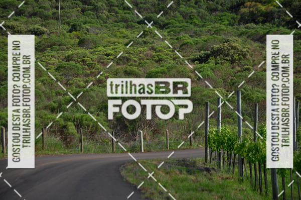 Buy your photos of the eventCIRCUITO DOS VINHEDOS - VINHOS DE ALTITUDE on Fotop