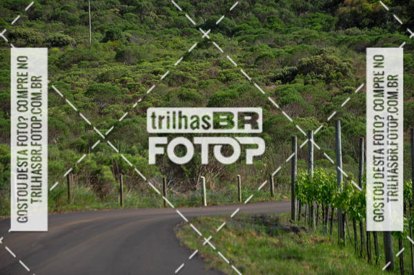 Buy your photos of the eventCIRCUITO DOS VINHEDOS - VINHOS DE ALTITUDE on Fotop