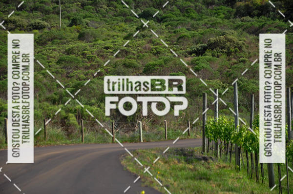 Buy your photos of the eventCIRCUITO DOS VINHEDOS - VINHOS DE ALTITUDE on Fotop