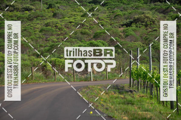 Buy your photos of the eventCIRCUITO DOS VINHEDOS - VINHOS DE ALTITUDE on Fotop
