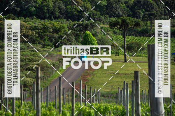 Buy your photos of the eventCIRCUITO DOS VINHEDOS - VINHOS DE ALTITUDE on Fotop