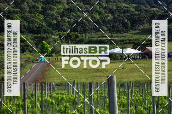 Buy your photos of the eventCIRCUITO DOS VINHEDOS - VINHOS DE ALTITUDE on Fotop