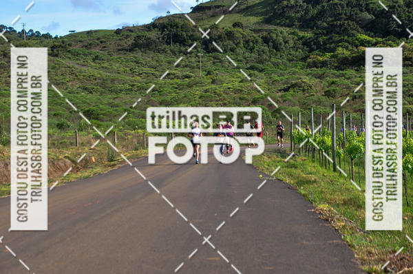 Buy your photos of the eventCIRCUITO DOS VINHEDOS - VINHOS DE ALTITUDE on Fotop