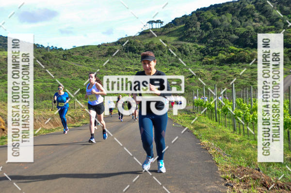 Buy your photos of the eventCIRCUITO DOS VINHEDOS - VINHOS DE ALTITUDE on Fotop