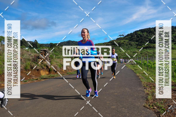 Buy your photos of the eventCIRCUITO DOS VINHEDOS - VINHOS DE ALTITUDE on Fotop