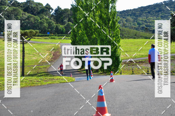 Buy your photos of the eventCIRCUITO DOS VINHEDOS - VINHOS DE ALTITUDE on Fotop