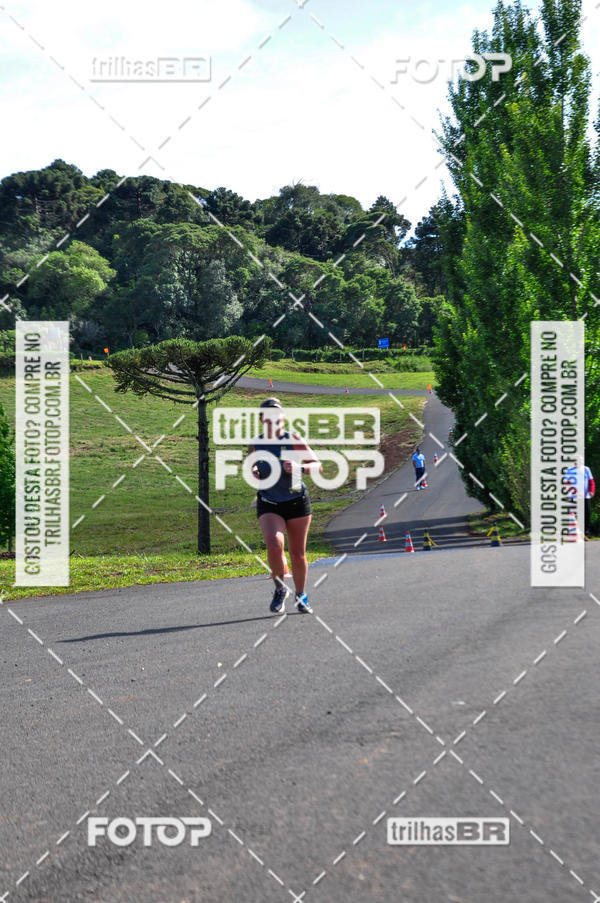 Buy your photos of the eventCIRCUITO DOS VINHEDOS - VINHOS DE ALTITUDE on Fotop