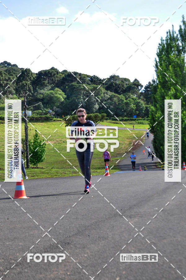 Buy your photos of the eventCIRCUITO DOS VINHEDOS - VINHOS DE ALTITUDE on Fotop
