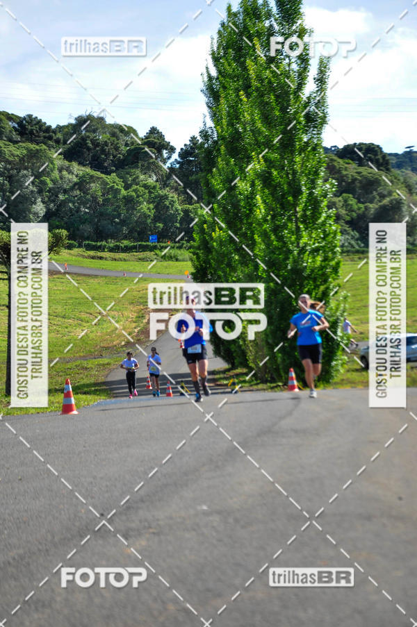 Buy your photos of the eventCIRCUITO DOS VINHEDOS - VINHOS DE ALTITUDE on Fotop