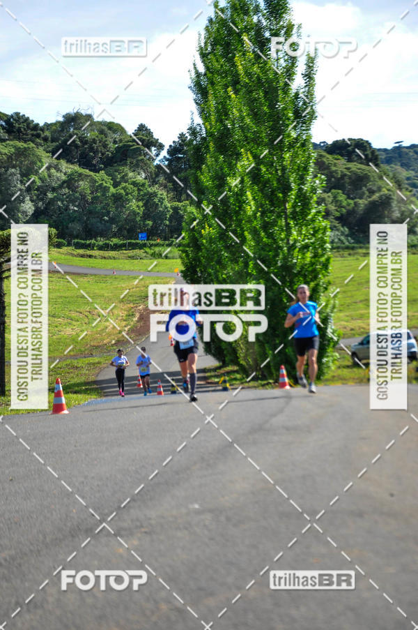 Buy your photos of the eventCIRCUITO DOS VINHEDOS - VINHOS DE ALTITUDE on Fotop