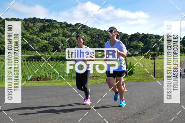 Buy your photos of the eventCIRCUITO DOS VINHEDOS - VINHOS DE ALTITUDE on Fotop