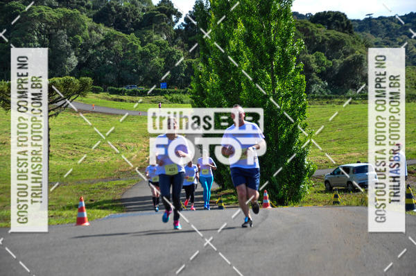 Buy your photos of the eventCIRCUITO DOS VINHEDOS - VINHOS DE ALTITUDE on Fotop