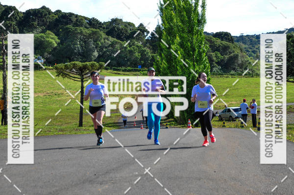 Buy your photos of the eventCIRCUITO DOS VINHEDOS - VINHOS DE ALTITUDE on Fotop