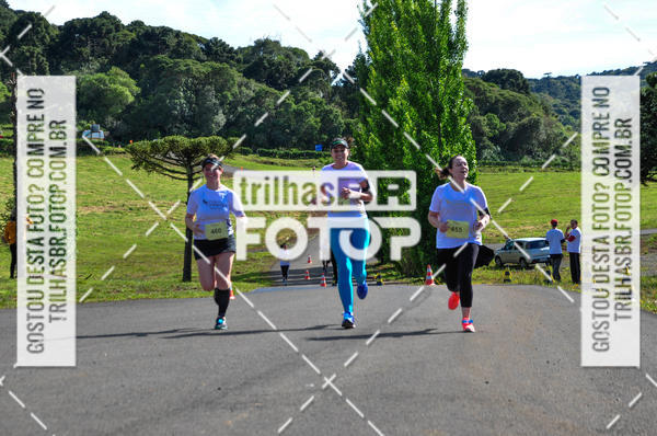 Buy your photos of the eventCIRCUITO DOS VINHEDOS - VINHOS DE ALTITUDE on Fotop