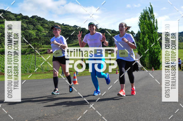 Buy your photos of the eventCIRCUITO DOS VINHEDOS - VINHOS DE ALTITUDE on Fotop