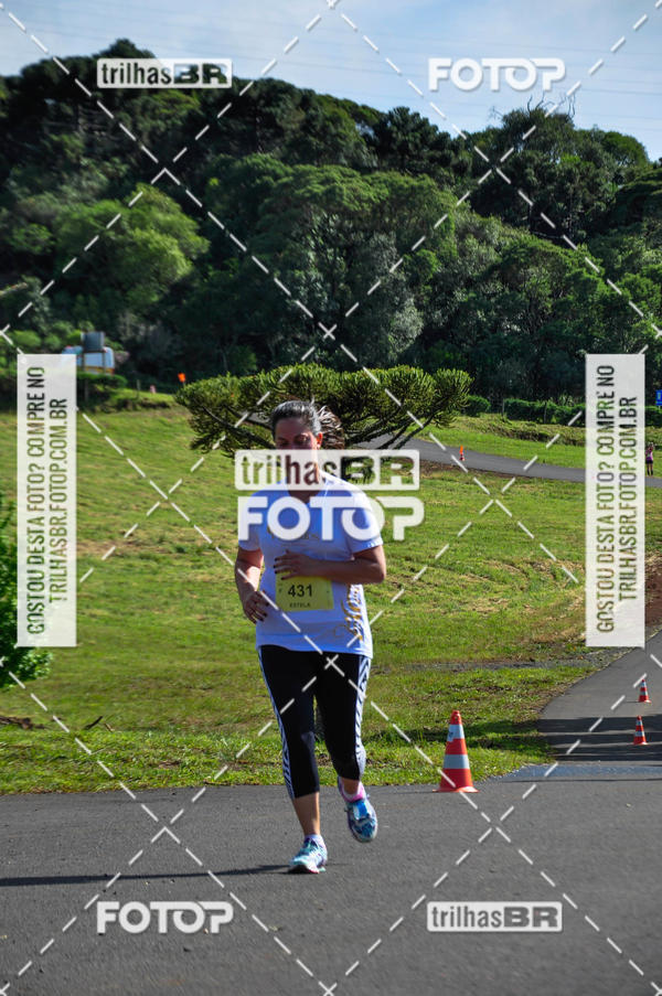 Buy your photos of the eventCIRCUITO DOS VINHEDOS - VINHOS DE ALTITUDE on Fotop