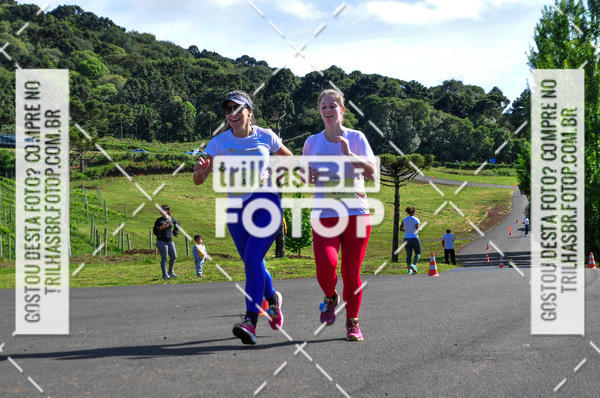 Buy your photos of the eventCIRCUITO DOS VINHEDOS - VINHOS DE ALTITUDE on Fotop