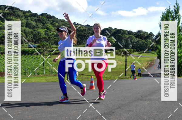 Buy your photos of the eventCIRCUITO DOS VINHEDOS - VINHOS DE ALTITUDE on Fotop
