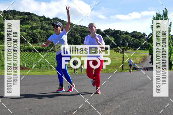 Buy your photos of the eventCIRCUITO DOS VINHEDOS - VINHOS DE ALTITUDE on Fotop
