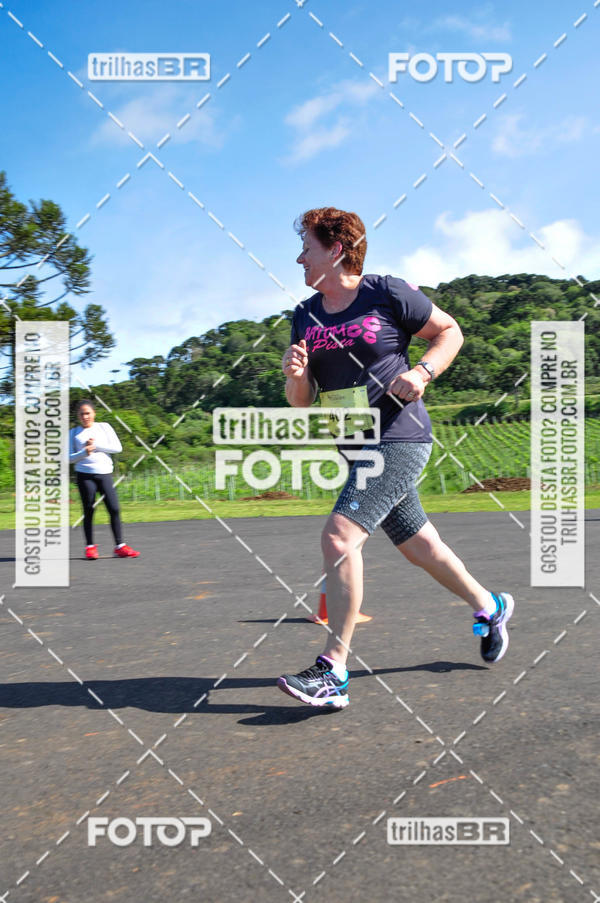Buy your photos of the eventCIRCUITO DOS VINHEDOS - VINHOS DE ALTITUDE on Fotop