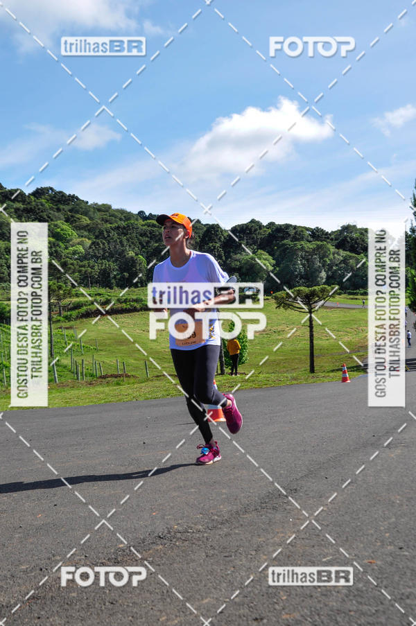 Buy your photos of the eventCIRCUITO DOS VINHEDOS - VINHOS DE ALTITUDE on Fotop