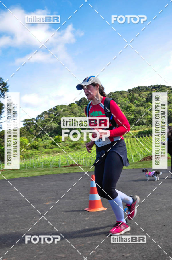 Buy your photos of the eventCIRCUITO DOS VINHEDOS - VINHOS DE ALTITUDE on Fotop