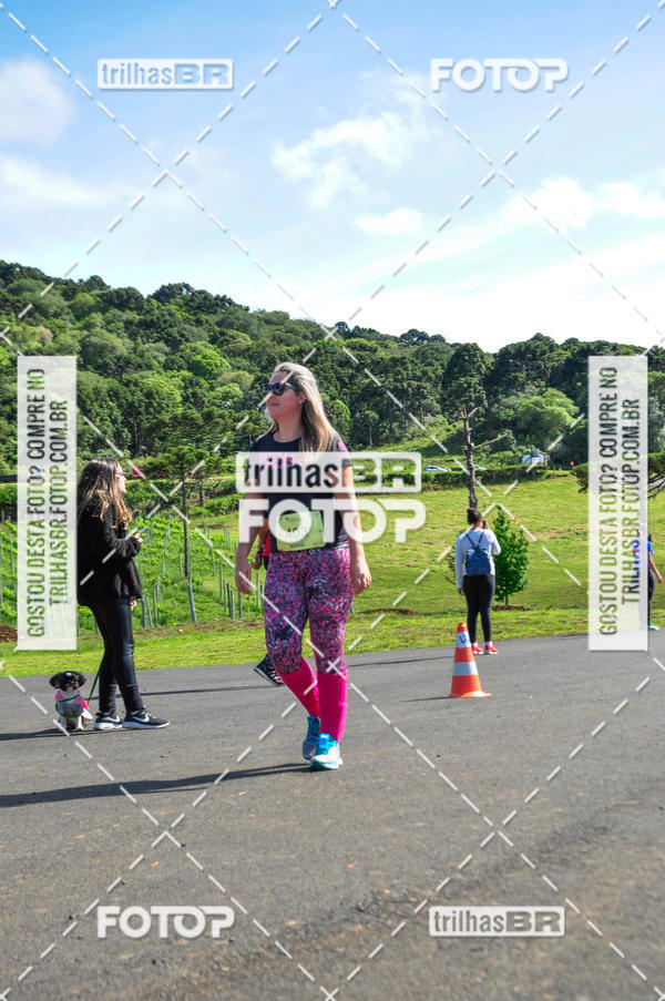 Buy your photos of the eventCIRCUITO DOS VINHEDOS - VINHOS DE ALTITUDE on Fotop