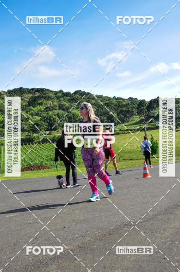 Buy your photos of the eventCIRCUITO DOS VINHEDOS - VINHOS DE ALTITUDE on Fotop