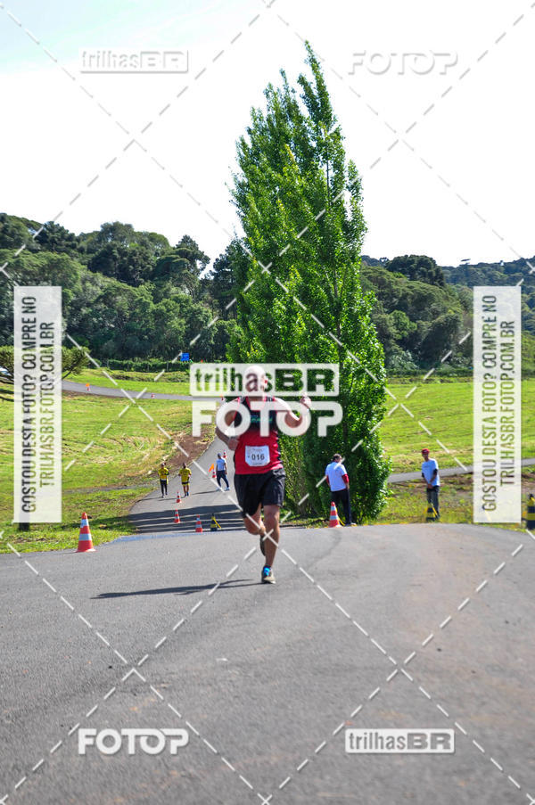 Buy your photos of the eventCIRCUITO DOS VINHEDOS - VINHOS DE ALTITUDE on Fotop
