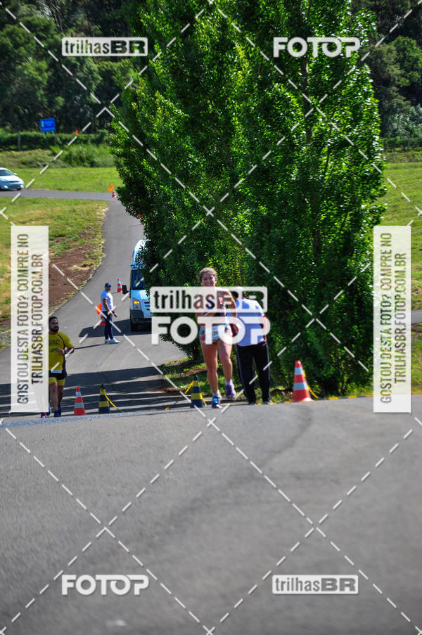 Buy your photos of the eventCIRCUITO DOS VINHEDOS - VINHOS DE ALTITUDE on Fotop