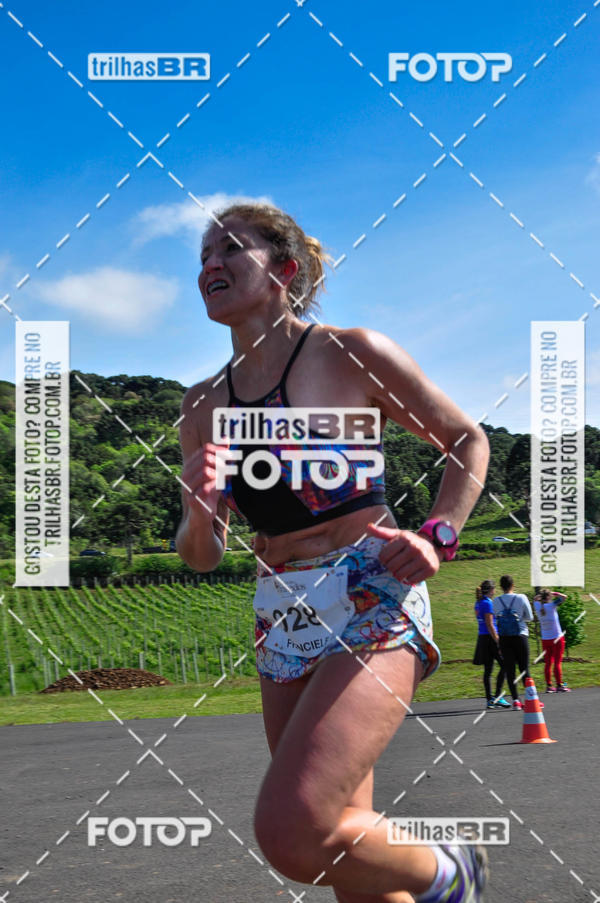 Buy your photos of the eventCIRCUITO DOS VINHEDOS - VINHOS DE ALTITUDE on Fotop
