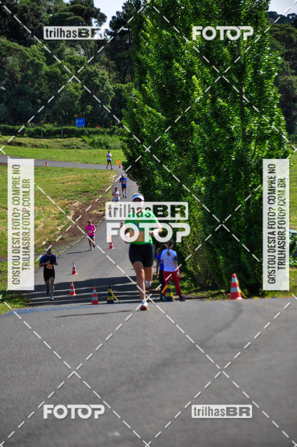 Buy your photos of the eventCIRCUITO DOS VINHEDOS - VINHOS DE ALTITUDE on Fotop
