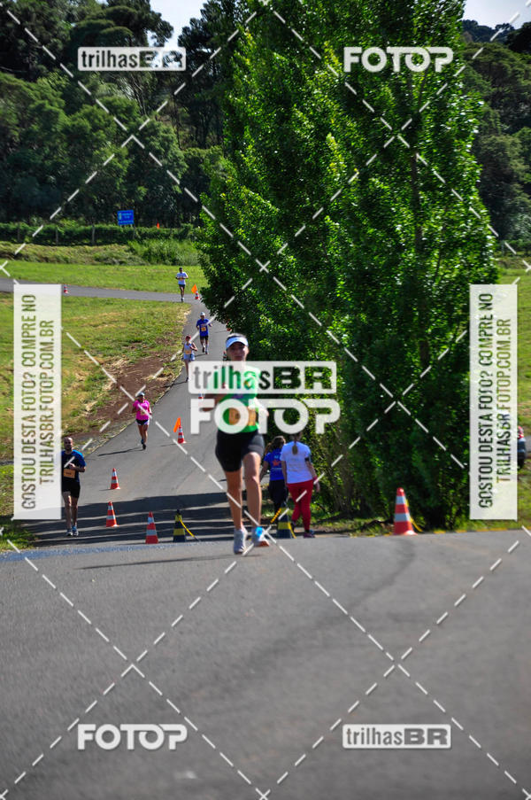 Buy your photos of the eventCIRCUITO DOS VINHEDOS - VINHOS DE ALTITUDE on Fotop