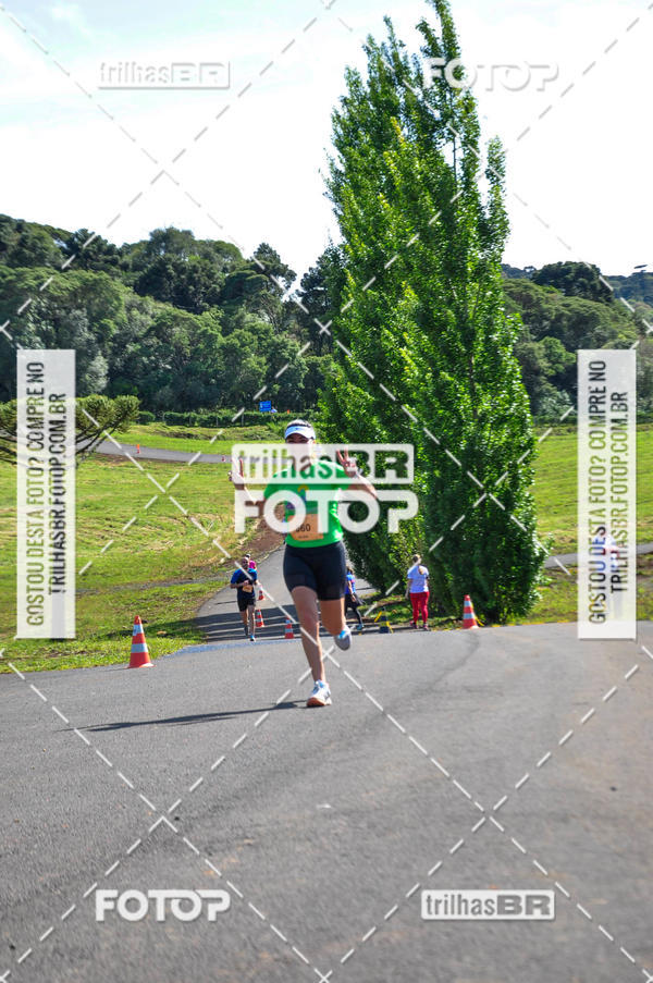 Buy your photos of the eventCIRCUITO DOS VINHEDOS - VINHOS DE ALTITUDE on Fotop