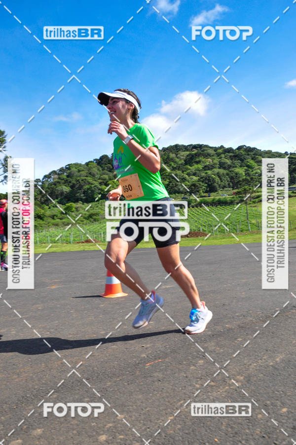 Buy your photos of the eventCIRCUITO DOS VINHEDOS - VINHOS DE ALTITUDE on Fotop