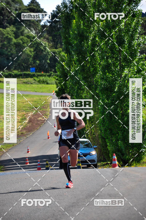 Buy your photos of the eventCIRCUITO DOS VINHEDOS - VINHOS DE ALTITUDE on Fotop