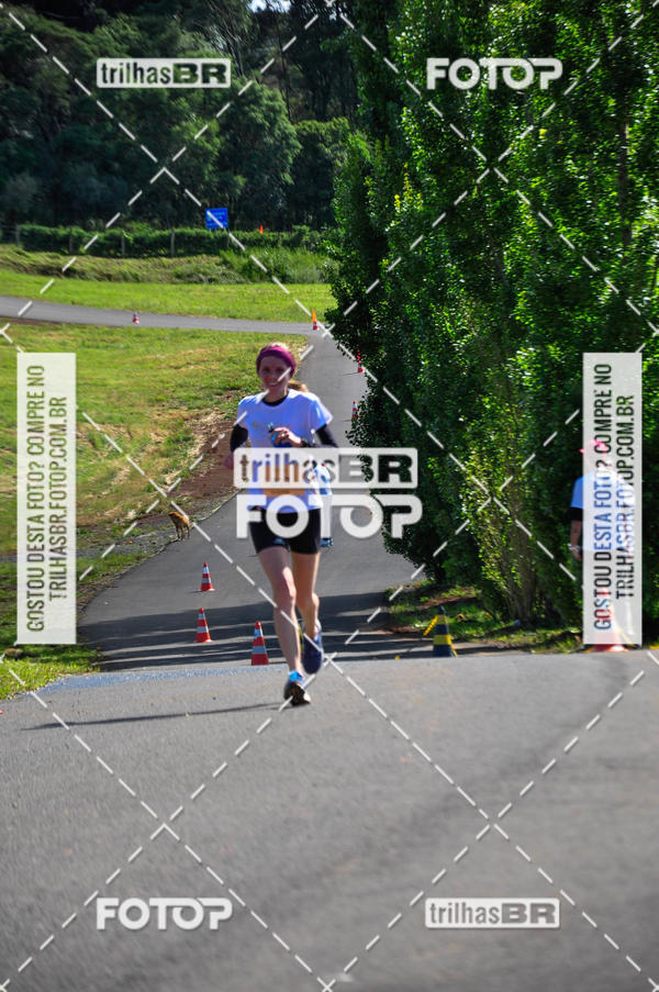 Buy your photos of the eventCIRCUITO DOS VINHEDOS - VINHOS DE ALTITUDE on Fotop