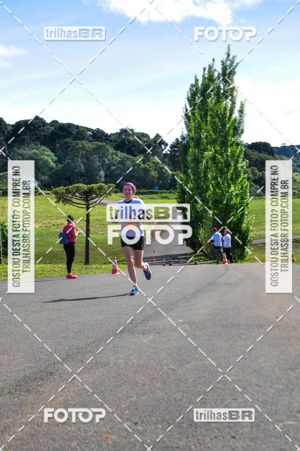 Buy your photos of the eventCIRCUITO DOS VINHEDOS - VINHOS DE ALTITUDE on Fotop