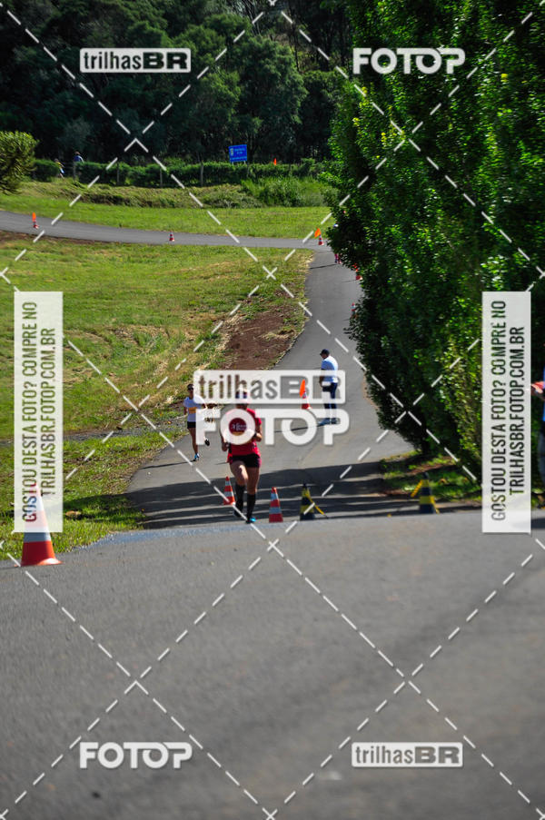 Buy your photos of the eventCIRCUITO DOS VINHEDOS - VINHOS DE ALTITUDE on Fotop