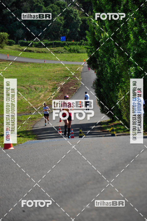 Buy your photos of the eventCIRCUITO DOS VINHEDOS - VINHOS DE ALTITUDE on Fotop