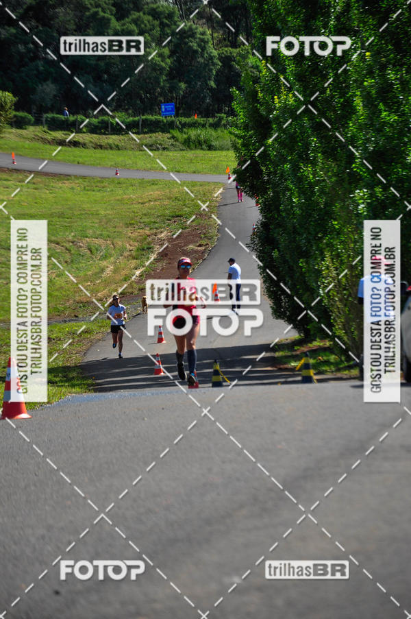 Buy your photos of the eventCIRCUITO DOS VINHEDOS - VINHOS DE ALTITUDE on Fotop