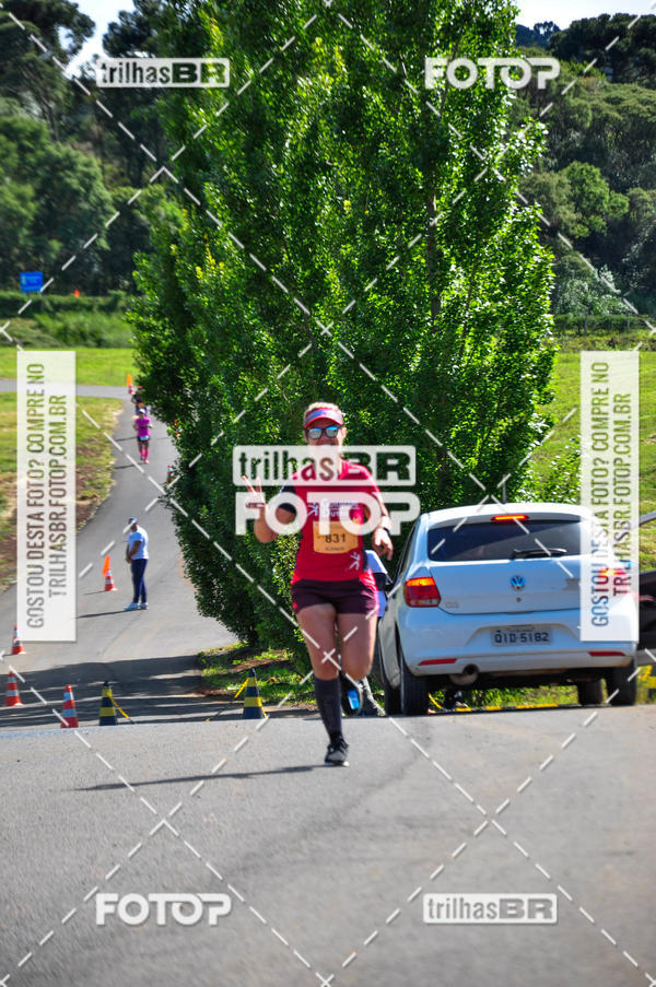Buy your photos of the eventCIRCUITO DOS VINHEDOS - VINHOS DE ALTITUDE on Fotop