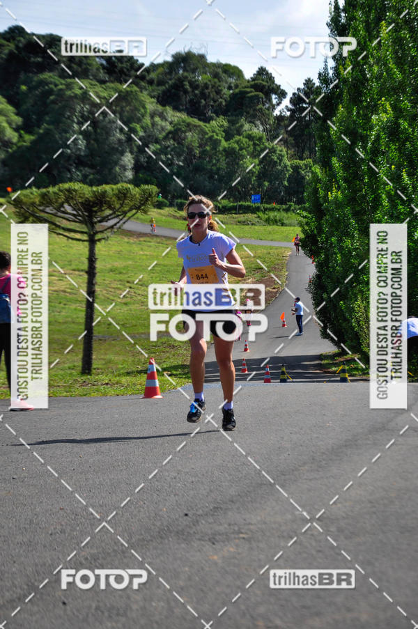 Buy your photos of the eventCIRCUITO DOS VINHEDOS - VINHOS DE ALTITUDE on Fotop