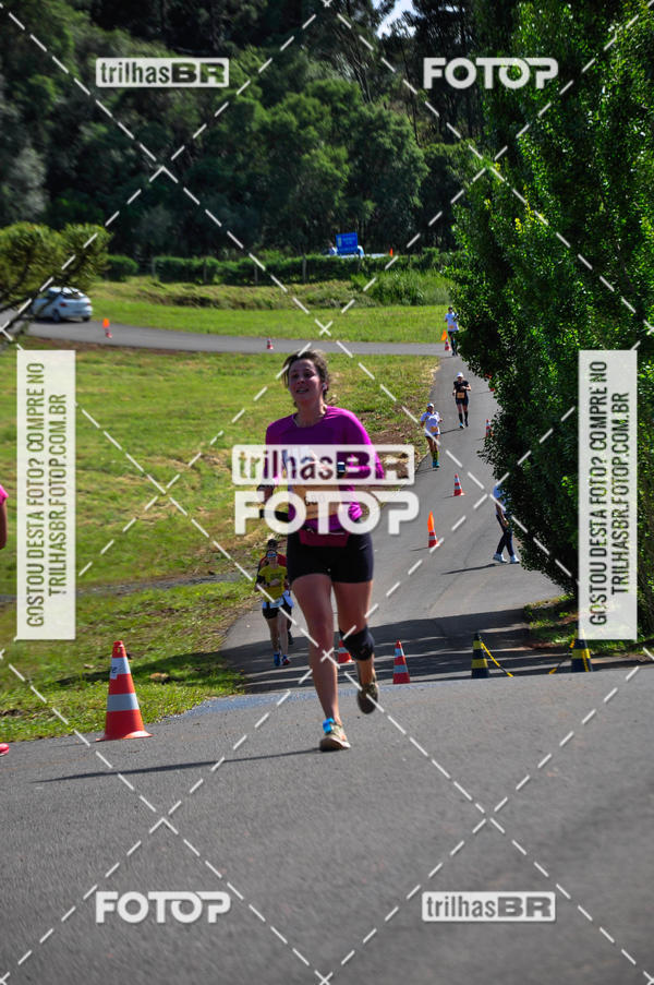 Buy your photos of the eventCIRCUITO DOS VINHEDOS - VINHOS DE ALTITUDE on Fotop