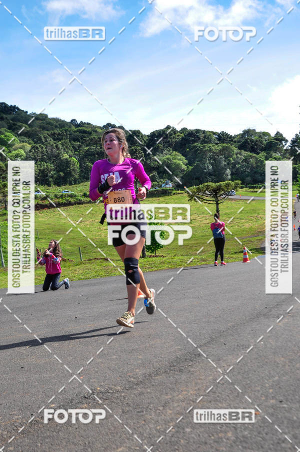 Buy your photos of the eventCIRCUITO DOS VINHEDOS - VINHOS DE ALTITUDE on Fotop