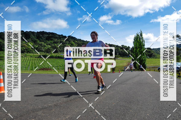 Buy your photos of the eventCIRCUITO DOS VINHEDOS - VINHOS DE ALTITUDE on Fotop