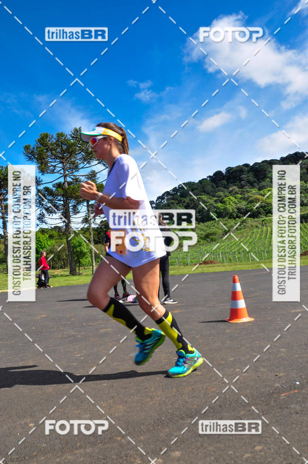 Buy your photos of the eventCIRCUITO DOS VINHEDOS - VINHOS DE ALTITUDE on Fotop