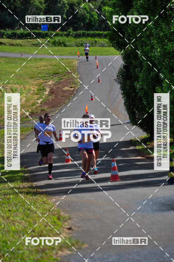 Buy your photos of the eventCIRCUITO DOS VINHEDOS - VINHOS DE ALTITUDE on Fotop