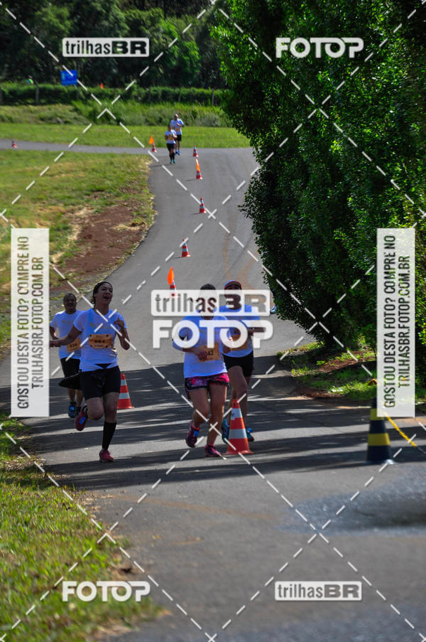 Buy your photos of the eventCIRCUITO DOS VINHEDOS - VINHOS DE ALTITUDE on Fotop