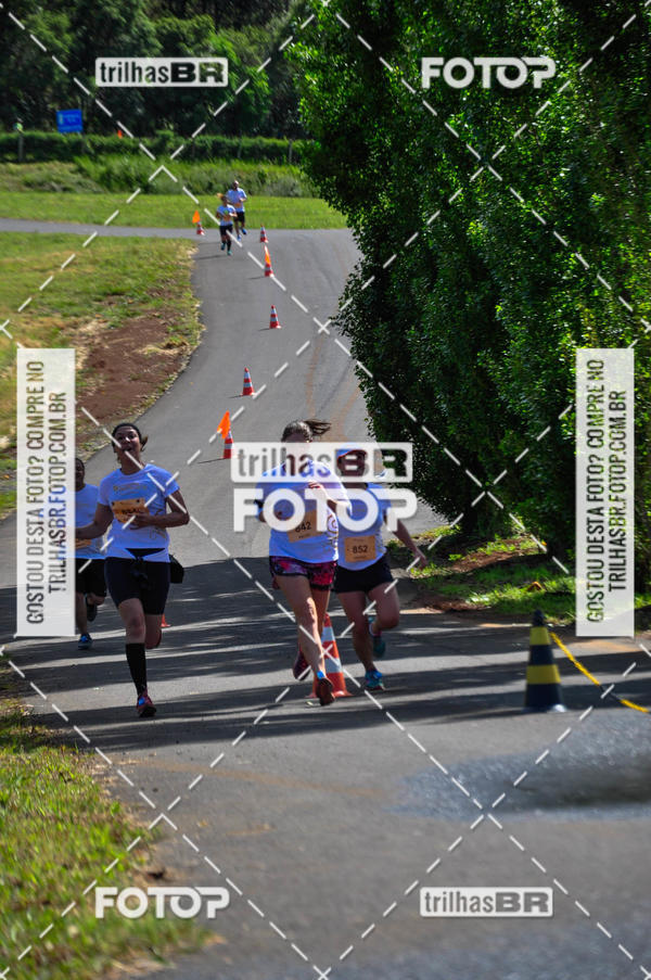 Buy your photos of the eventCIRCUITO DOS VINHEDOS - VINHOS DE ALTITUDE on Fotop